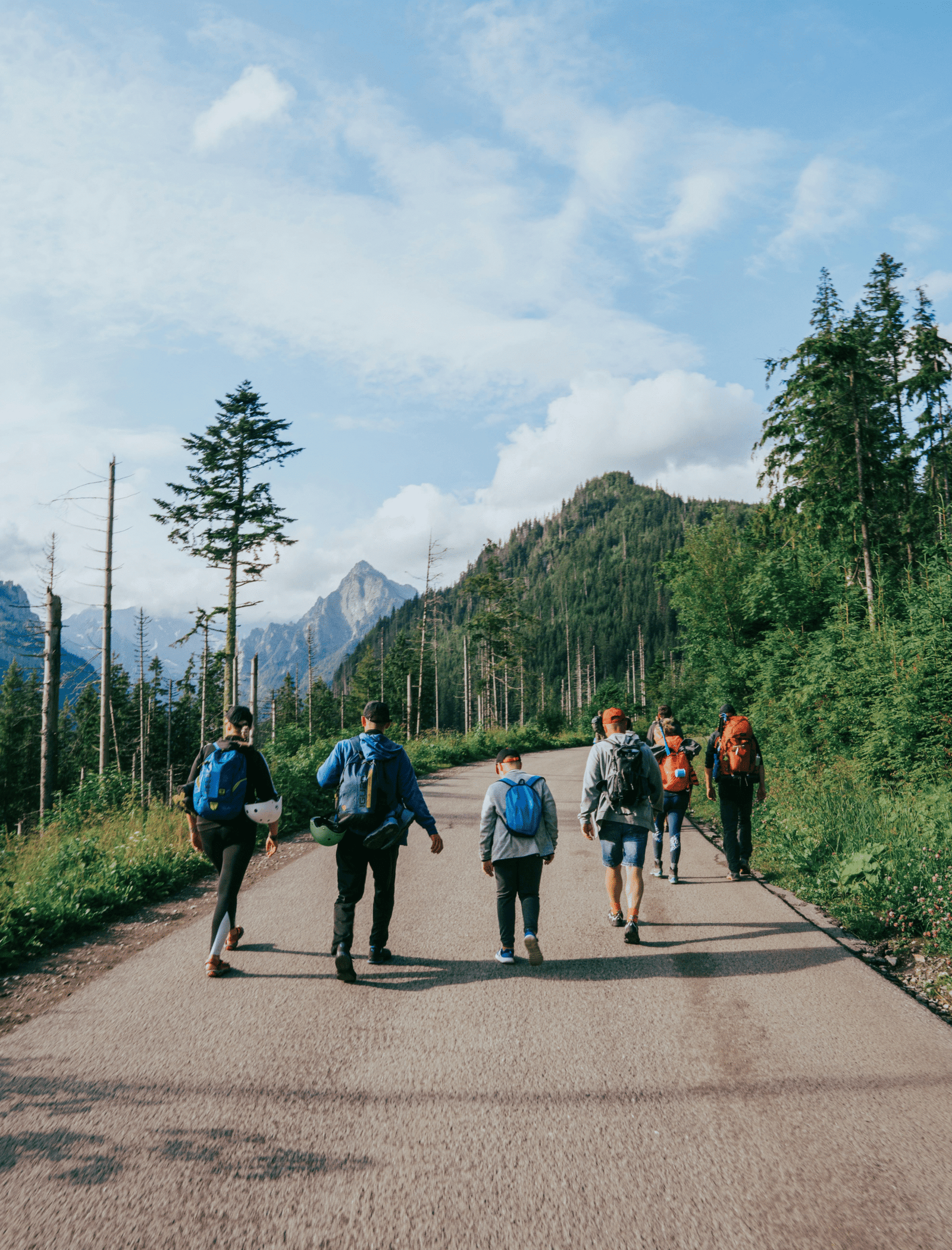 Siguiendo el camino al éxito